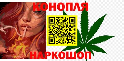 индика Новозыбков