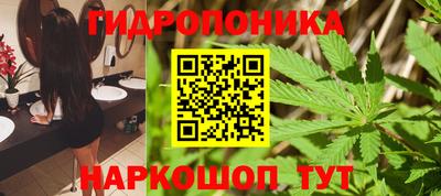 индика Новозыбков