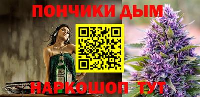 индика Новозыбков