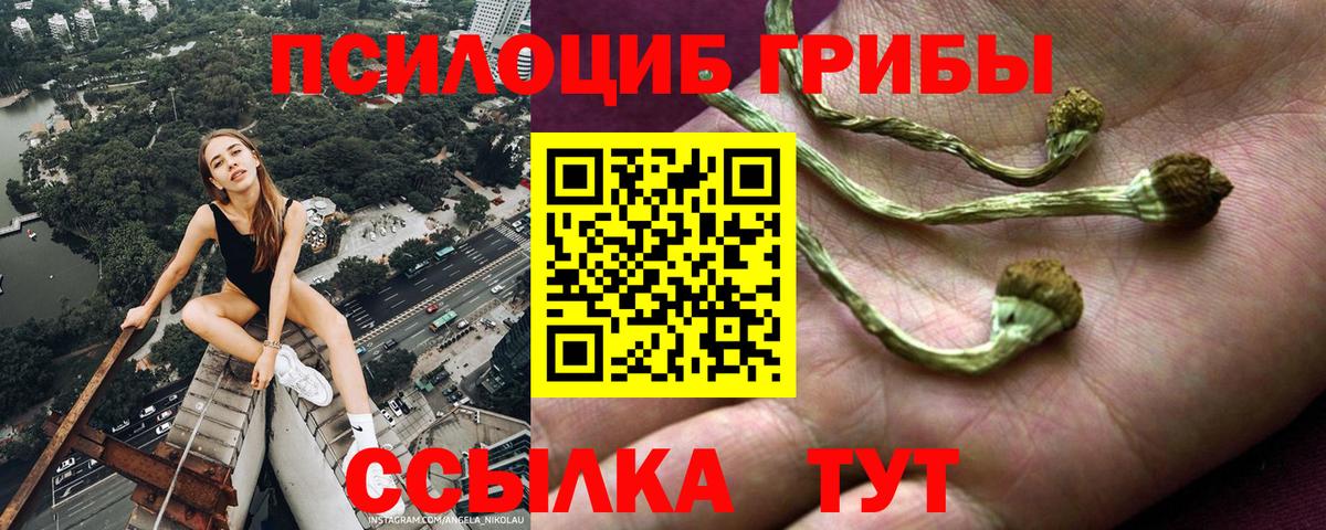 Псилоцибиновые грибы мицелий  Вход с VPN  Саратов 